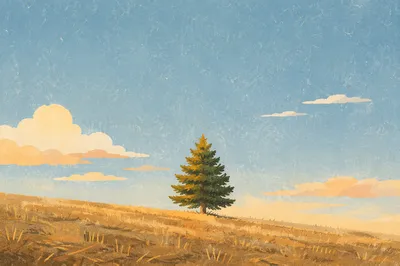 Lone Evergreen Tree at Golden Hour