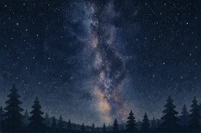 Milky Way Over Quiet Evergreen Forest