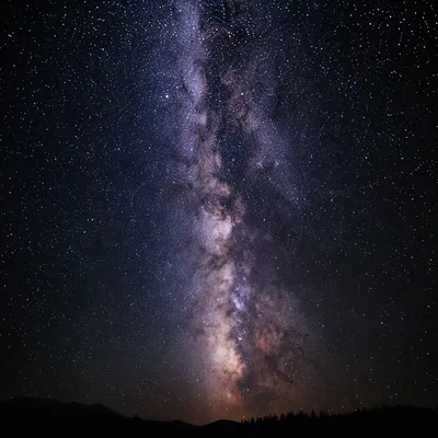 Milky Way Over Silent Wilderness Horizon