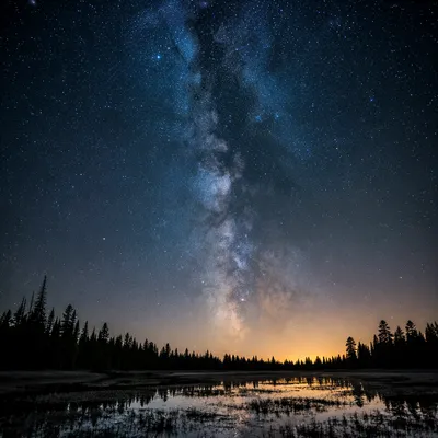Milky Way Above Evergreen Marsh at Night