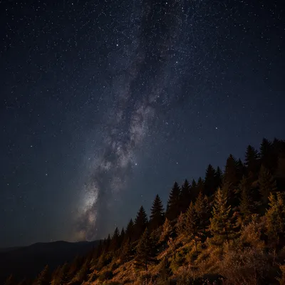 Milky Way Over Evergreen Mountain Hillside