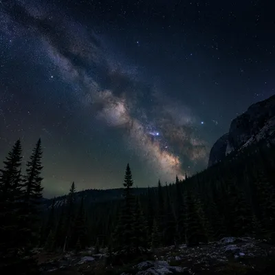 Milky Way Over Evergreen Forest Night