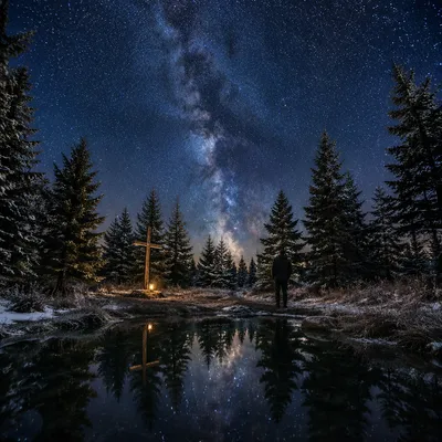 Milky Way Cross in Snowy Evergreen Forest