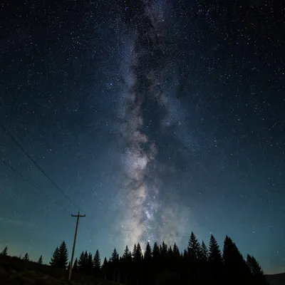 Milky Way Over Evergreen Hillside