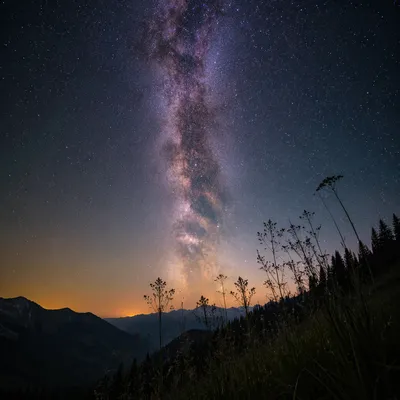 Milky Way Over Evergreen Mountain Valley