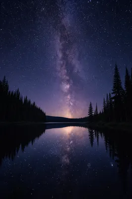 Milky Way Over Tranquil Evergreen Lake
