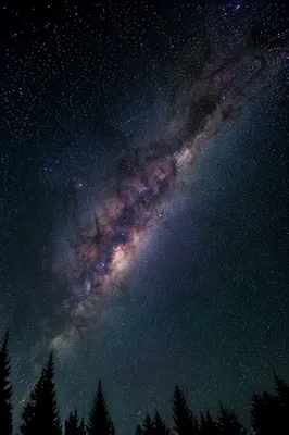 Milky Way Over Evergreen Night Silhouettes