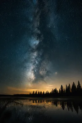 Milky Way Over Evergreen Marsh Lake