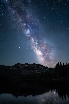 Milky Way Over Evergreen Mountain Wilderness