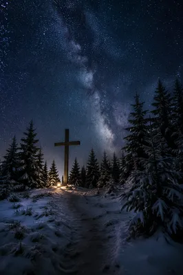 Wooden Cross Beneath Milky Way Pines