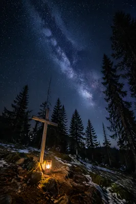 Milky Way Cross in Evergreen Forest