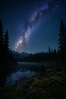 Milky Way Over Evergreen Forest Pond