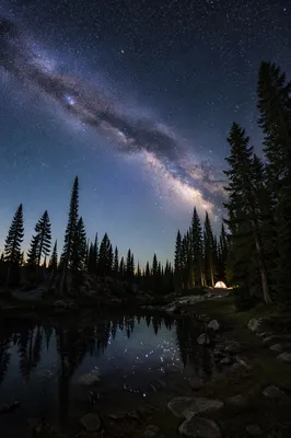 Milky Way Over Evergreen Forest Clearing