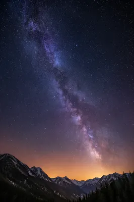 Milky Way Over Evergreen Alpine Valley