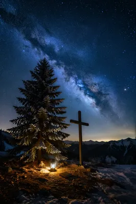 Evergreen Cross Under Milky Way Stars