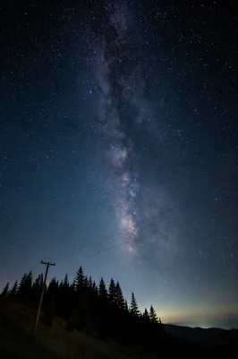 Milky Way Over Evergreen Hillside