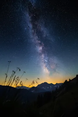 Milky Way Over Evergreen Mountain Valley