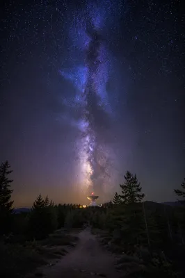 Milky Way Over Quiet Evergreen Ridge