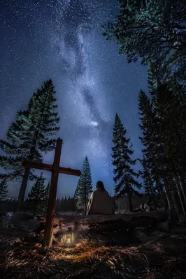 Milky Way Prayer in Evergreen Clearing