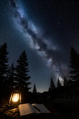Milky Way Over Quiet Evergreen Forest