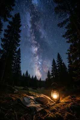 Milky Way Over Quiet Evergreen Prayer Clearing