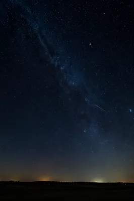 Milky Way Over Quiet Evergreen Horizon