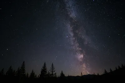 Milky Way Above Evergreen Forest Silhouette