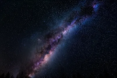 Milky Way Over Evergreen Treetops