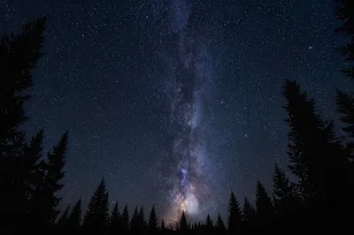 Milky Way Above Evergreen Chapel Silhouettes
