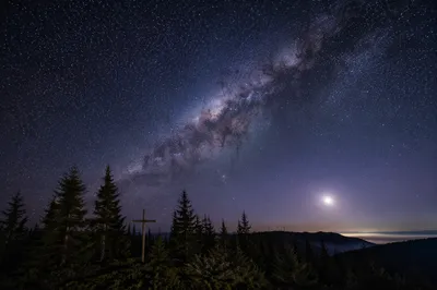Milky Way Over Evergreen Forest Cross