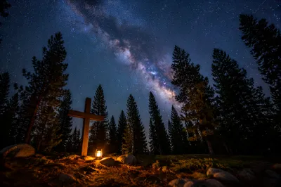 Milky Way Over Evergreen Forest Cross