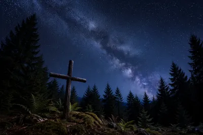 Milky Way Cross in Evergreen Forest
