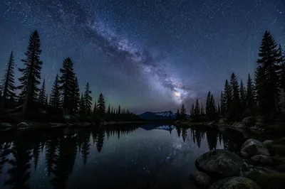 Milky Way Over Evergreen Alpine Lake