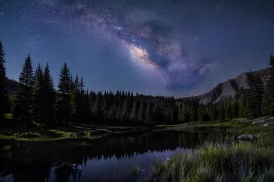 Milky Way Over Evergreen Forest Pond
