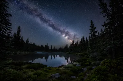 Milky Way Over Evergreen Forest Pond