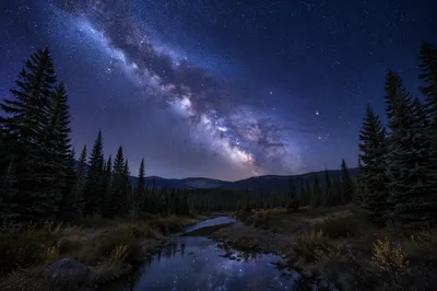Milky Way Over Evergreen Forest Clearing
