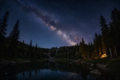 Milky Way Above Evergreen Forest Clearing