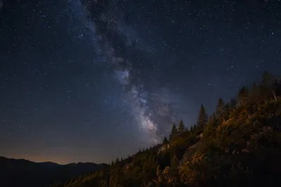 Starry Milky Way Over Evergreen Hillside