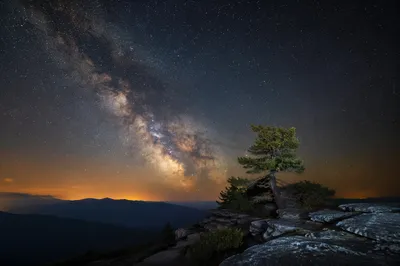 Evergreen Overlook Beneath the Milky Way