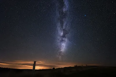 Evergreen Milky Way Over Quiet Horizon