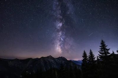 Milky Way Over Evergreen Mountain Ridge