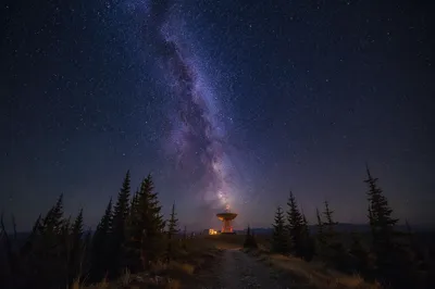 Milky Way Over Quiet Evergreen Ridge