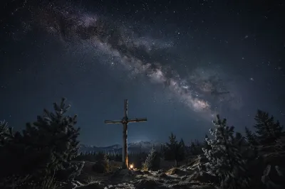 Milky Way Over Evergreen Forest Cross
