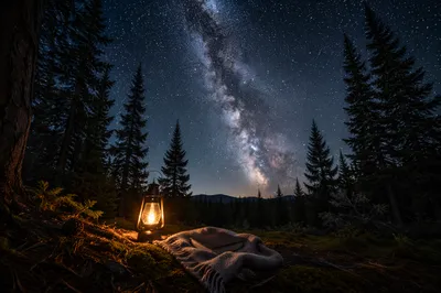 Milky Way Over Peaceful Evergreen Clearing