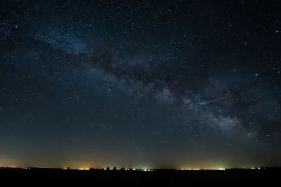 Milky Way Over Quiet Evergreen Horizon