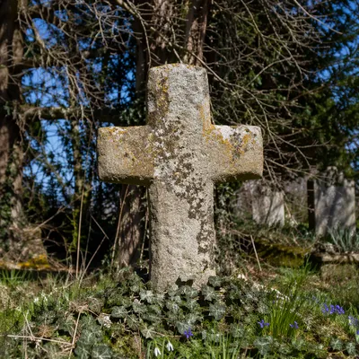Evergreen Ivy Stone Cross in Cemetery