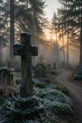 Weathered Stone Cross in Misty Cemetery