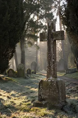Weathered Stone Cross in Evergreen Cemetery