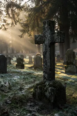 Weathered Stone Cross in Evergreen Cemetery