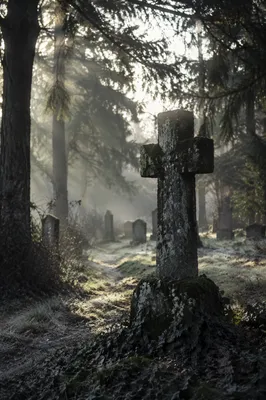 Weathered Stone Cross in Misty Cemetery